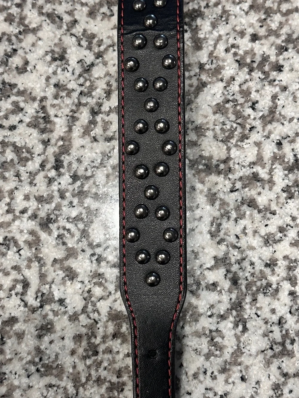 Black Studded DOG Collar Red Stitching